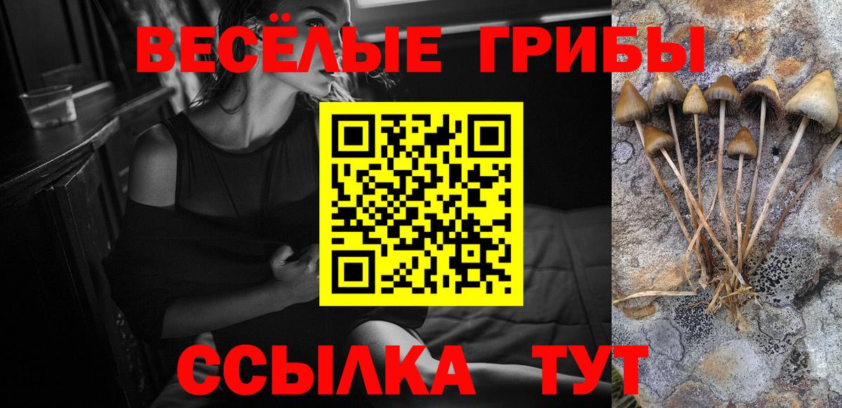 Псилоцибиновые грибы GOLDEN TEACHER Саяногорск