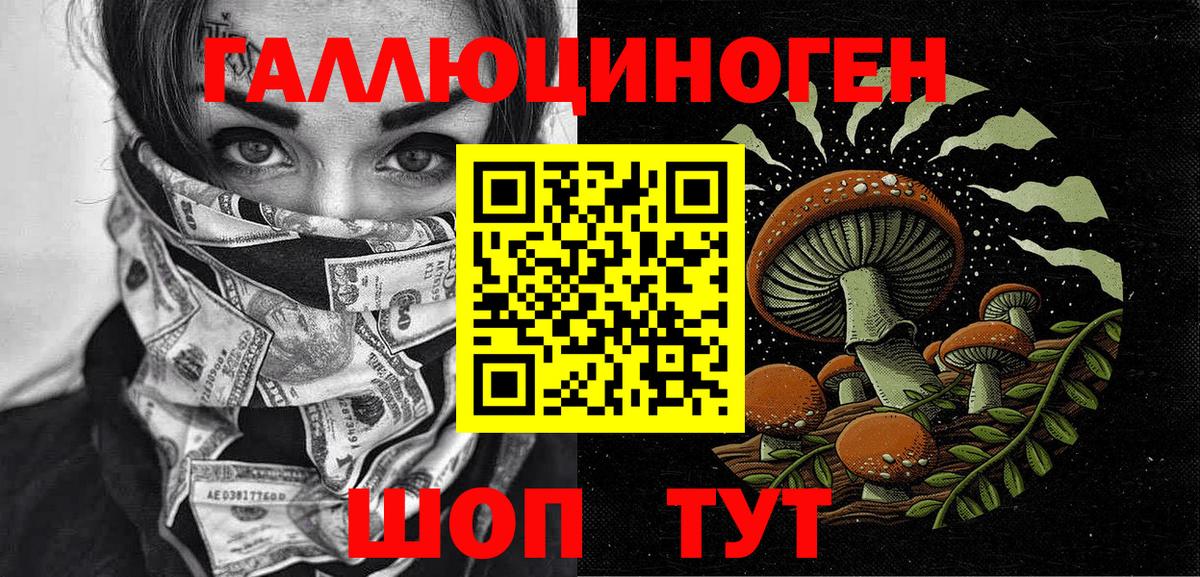 дарнет шоп  Галлюциногенные грибы MAGIC MUSHROOMS  Вход с VPN  Саяногорск 
